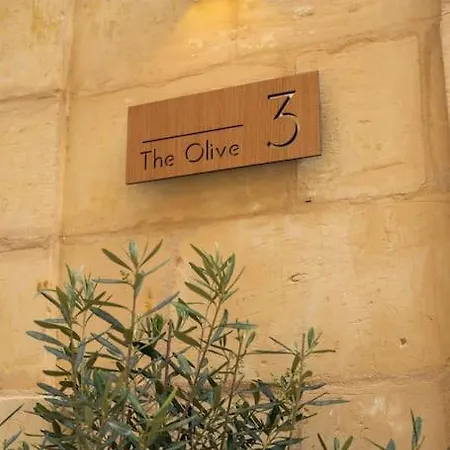 The Olive 3 - Traditional Maltese Tatil Evi