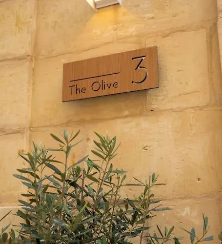 The Olive 3 - Traditional Maltese Tatil Evi