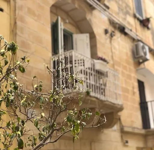 The Olive 3 - Traditional Maltese